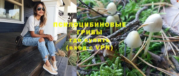 бошки Пересвет