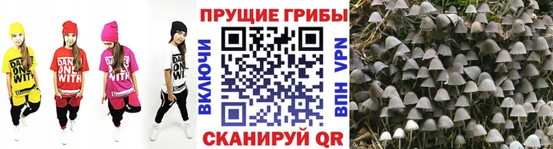 Псилоцибиновые грибы мухоморы  купить закладку  Ужур 